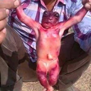 Marvel at the image of a strange creature that was suddenly found by Indians in a forest (VIDEO)