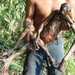 Everyone was perplexed by the strange “half human, half ape” creature discovered in the Amazon jungle (VIDEO)
