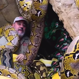 A man in India surprised everyone when he slept with a giant python (VIDEO)