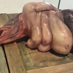Everyone was surprised when they saw the strange animal, half human, half fish (VIDEO)