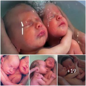 From the womb to the bath: Adorable of newborn twins’ first bath has gone viral
