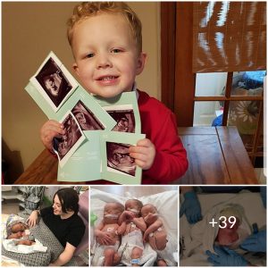 A One in 200 Million Chance: The Unbelievable Story of a Mother’s Natural Conception of Identical Triplets