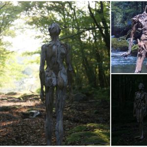Nature Takes the Stage: The Mesmerizing Movement of Natural Mannequins
