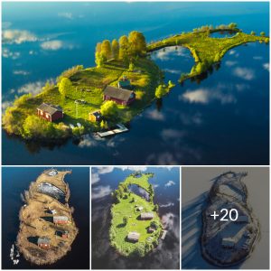 Nature’s wonderland: the captivating beauty of Kotisaari Island in all four seasons