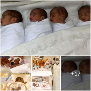 Breaking Records: The Woman Who Gave Birth to Nine Children in Monaco