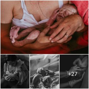 Witnessing Life’s Greatest Miracle: Carlene Forreste’s Moving Images of Childbirth