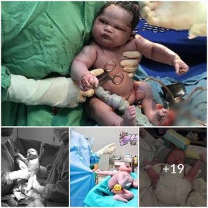 Pure Cuteness Overload: Newborns with Attitude Will Melt Your Heart