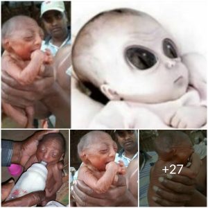 The amazing discovery of a baby born between an earthling and an alien makes everyone admire