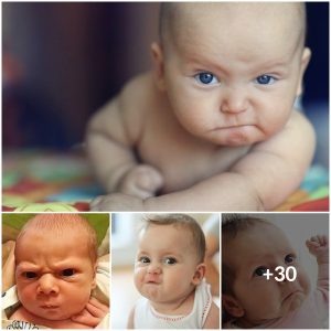 Adorable fury: Baby’s hilarious facial expression becomes an internet sensation