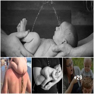 Capturing the Unpredictable: The Funniest Moments of Babies Interrupting Photo Sessions
