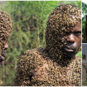 The Extraordinary Connection Between a Man and Thousands of Bees: A Display of Trust and Respect