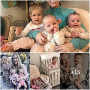 The Incredible Story of a Mother’s Journey with Three Babies in One Year