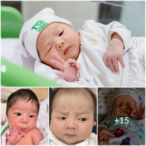 The Magic of Newborn Expressions: Captivating, Charming, and Just Plain Cool