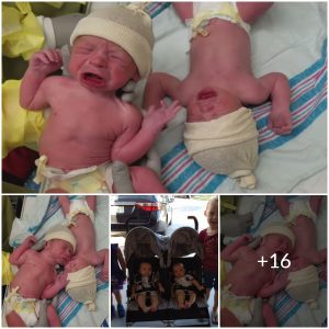 The Power of Twin Bonding: Twins Won’t Stop Crying Until Reunited