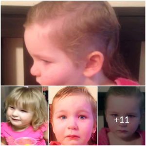 The Great Haircut: A Three-Year-Old’s Hilarious Explanation(Video)