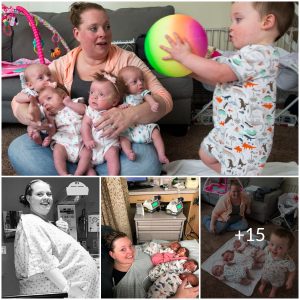 10 Years of Hope: The Emotional Journey of a Mother’s Fertility Struggles and Joyful Quadruplet Birth