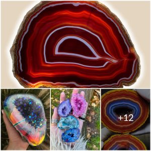 Nature’s Secret Gems: The Surprising Beauty of Geodes Revealed