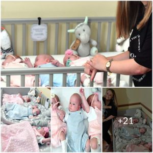 Unexpected Blessings: Mother Gives Birth to Triplets Four Months After First Baby