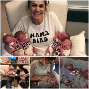 The Power of Genetics: Identical quadruplets born without medical intervention