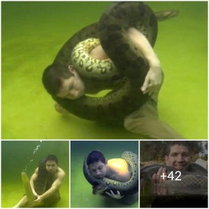 Horror-stricken: A young man’s attempt to handle a 12-foot-long anaconda resulted in it wrapping around his body and neck while he was underwater, and the outcome was unexpected (video)