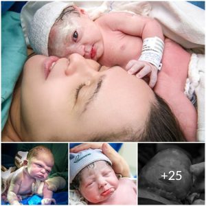 New Beginnings: Embracing the Intimacy of Mothers and Newborns in Stunning Images