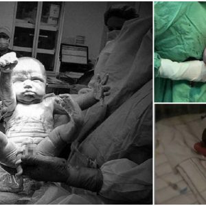 A series of expressions of little angels when they were just born, both cool and cute and a little funny