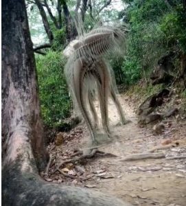 A strange-shaped creature suddenly appeared in the Amazon jungle, causing everyone’s curiosity (VIDEO)