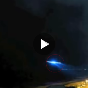 Exclusive: Tourists Share First-Hand Account of Mind-Blowing UFO Encounter on the Gold Coast(VIDEO)