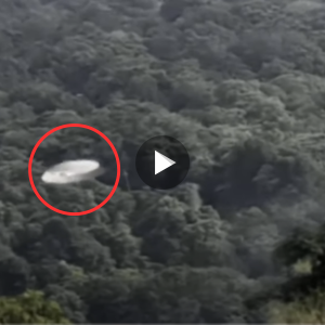 Truth: people going through a dangerous pass, suddenly discovered UFOs were recorded in the sky of Canada, making scientists confused (video)