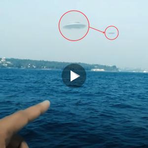 Tourists unearth mysterious vintage aircraft – claims of UFO encounter emerge (video)