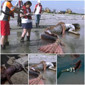 The Sad Fate of China’s Last Mermaids – Is It Too Late for Conservation Efforts?