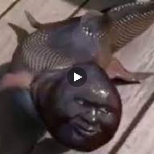 The social network spread a video of a “mutant fish” with a human-like face that controversial and confused experts (Video)