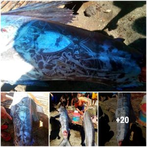 Fishermen discovered a sea fish with strange light-emitting tattoos believed to be the embodiment of god