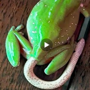 Scientists were surprised how a snake could emerge from a living frog