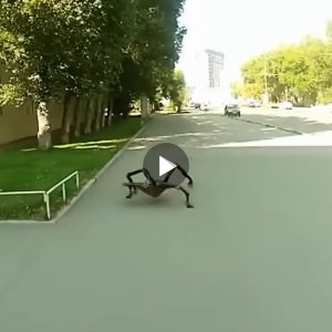 Terrified to watch a video of a youtuber trying to escape from a strange monster’s chase