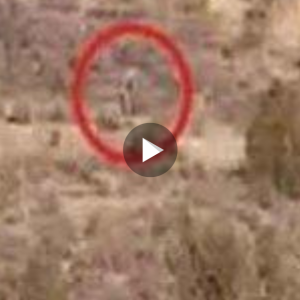 Unidentified Alien Being Spotted Walking Through Deserted Wasteland, Raising Concerns (VIDEO)