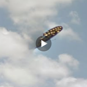 The moment the camera captured a butterfly-shaped UFO hovering over the Florida sky (VIDEO)