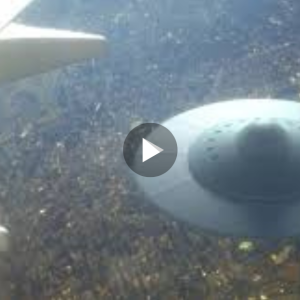 Mass Sighting of Massive UFO: Venice Beachgoers Stunned by Unexplained Phenomenon