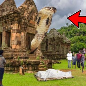 Marvel at the story of a 300-year-old snake in an Indian village suddenly resurrected after being dead (VIDEO)