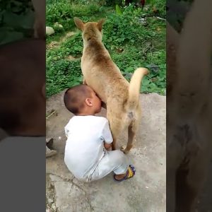 Shedding Tears At The Video Recording The Scene Where The Poor Boy Had To Drink Dog Milk Instead Of His Mother’s Milk Because He Was So Hungry (VIDEO)