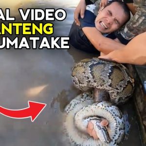 Panicked at the sight of a giant python entwined with a men who did not let go, everyone was terrified (VIDEO)