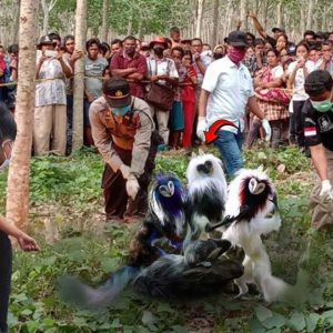 All the villagers were curious to see the eight-headed, eight-tailed monster for the first time (VIDEO)