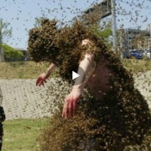 A terrible moment!!! This man was attacked by a swarm of killer bees (Video)