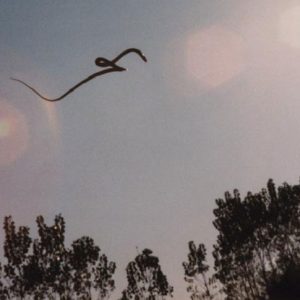 Marvel at the image of a snake flying in the sky in Mexico that is controversial for scientists (VIDEO)