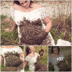 What caused a swarm of bees to weigh up to 4 pounds – to be precise, 20000 insects attached to this woman’s belly?