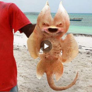 A group of fishermen found the mysterious creature had a long, slender body and a fish-like head with sharp teeth (Video)