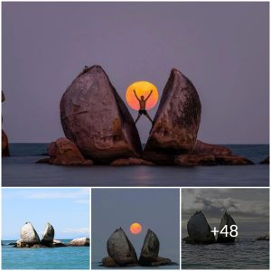 The otherworldly stone apple: A mystifying object found in crystal clear waters (video)