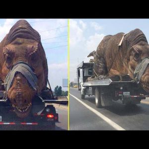 Pedestrians froze as they saw a truck carrying an extinct dinosaur thousands of years ago pass a highway in Chicago (Video)