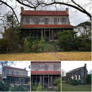 "Exploring History: A Remarkable 200-Year-Old аЬапdoпed Southern Plantation House in Georgia"
